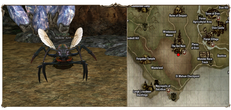 Noble%20Ant%20Leader.png