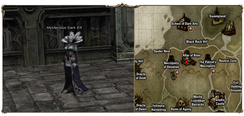 Mysterious%20Dark%20Elf.png