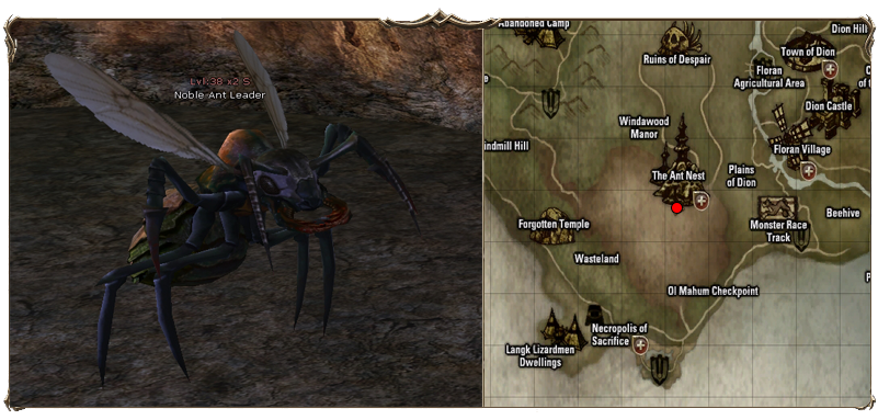 Noble%20Ant%20Leader.png