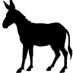 BeBackForKIll